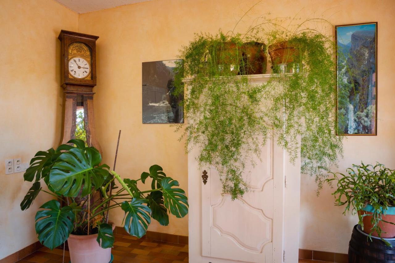 Hotel Sainte Anne "Le Verdon" Les Salles-sur-Verdon Εξωτερικό φωτογραφία