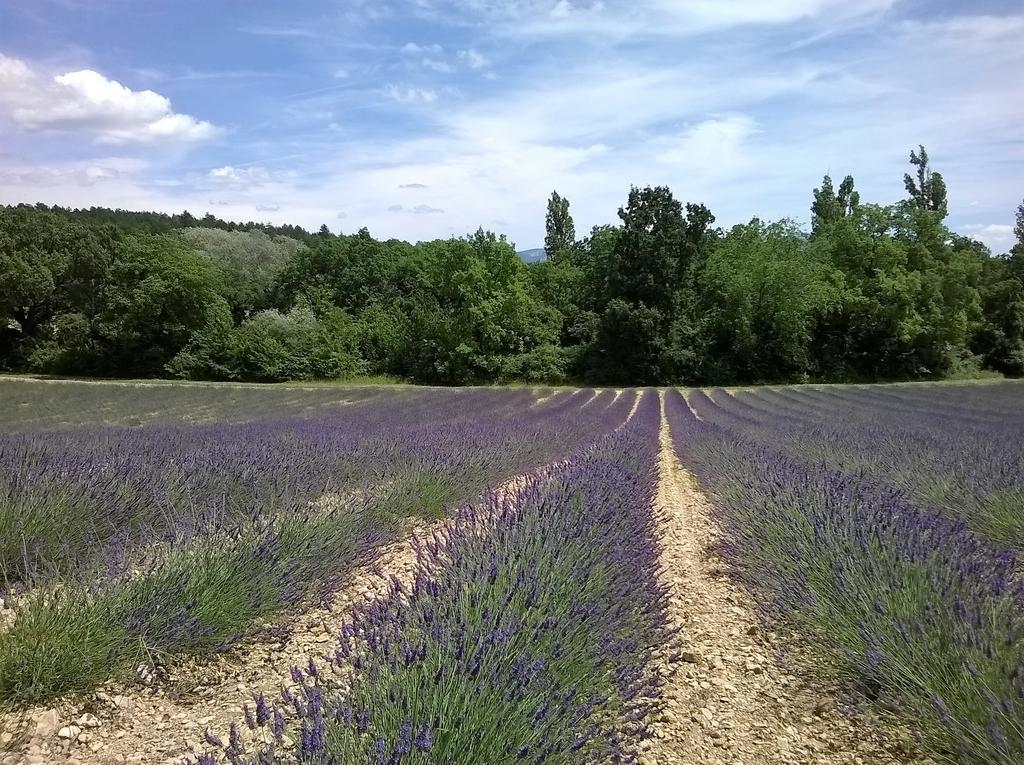 Hotel Sainte Anne "Le Verdon" Les Salles-sur-Verdon Εξωτερικό φωτογραφία